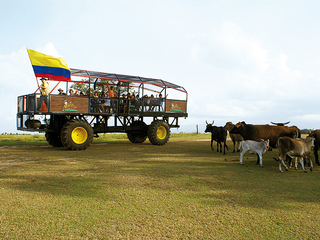 Recorrido en Buggy Cerrero