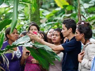 Caminatas Ecológicas en La Cosmopolitana